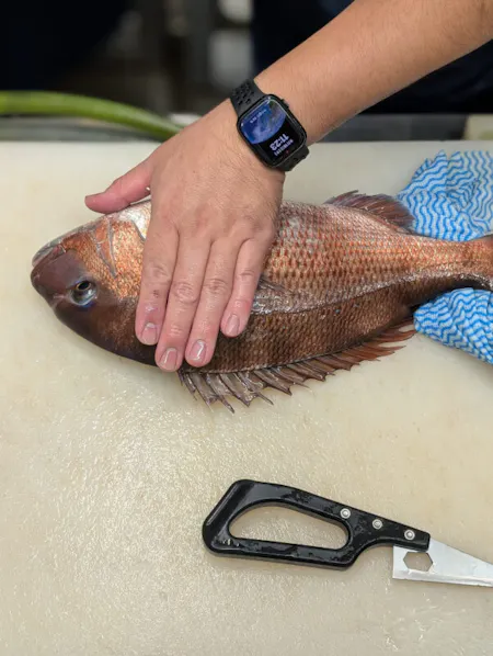 Master the Art of Ikejime and Tsumoto method: Japanese Fish Technique Workshop