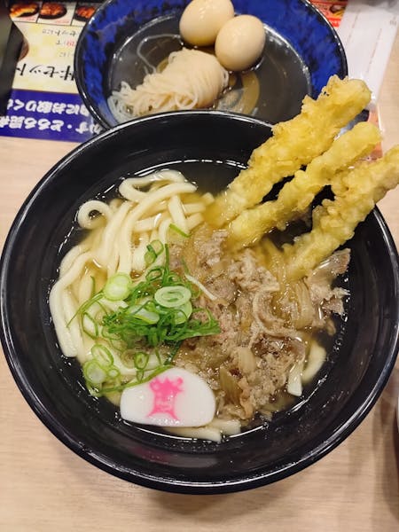 Seasonal Vegetables Tempura and Udon