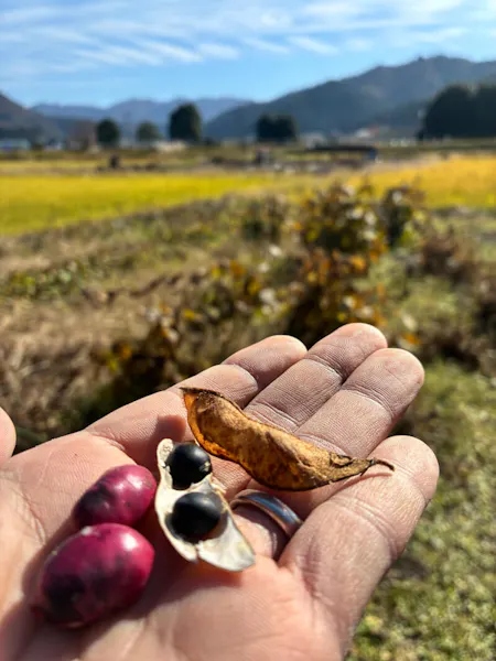 Tamba Sasayama Local Food Experience: Black Edamame & Deer Night Tour