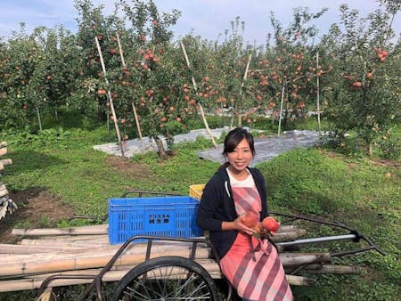 Farmer's wife's kitchen