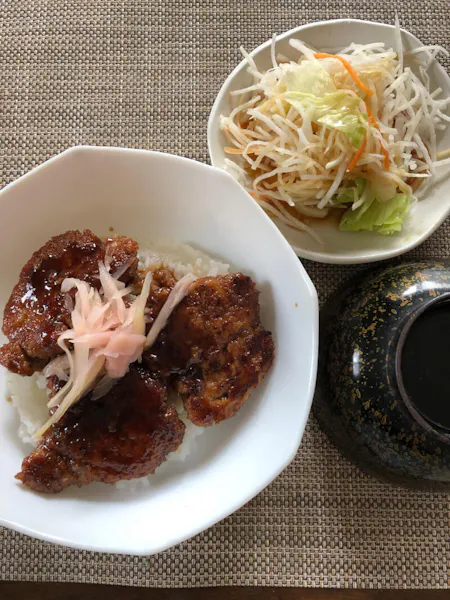 Source Katudon with Soymeat