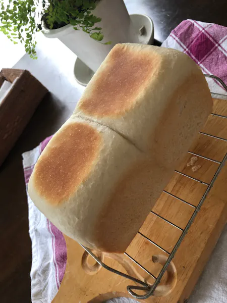 Natural yeast wheat bread