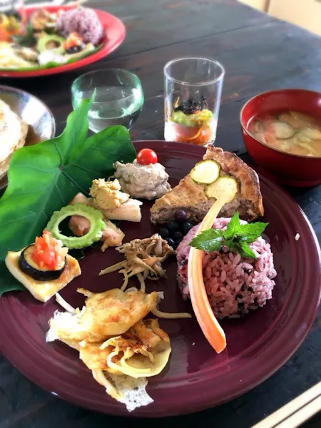 Japanese fermented foods and traditional food