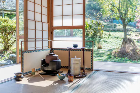 Mindfulness Tea ceremony in the nature