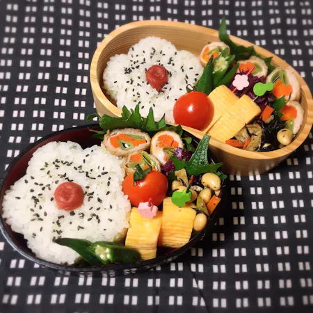 Let's cook Japane style Lunch box “Bento”!