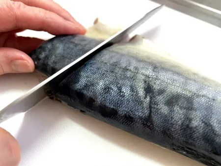 How to fillet a fish.
