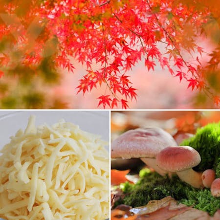 Learn and enjoy Japanese traditional seasoning