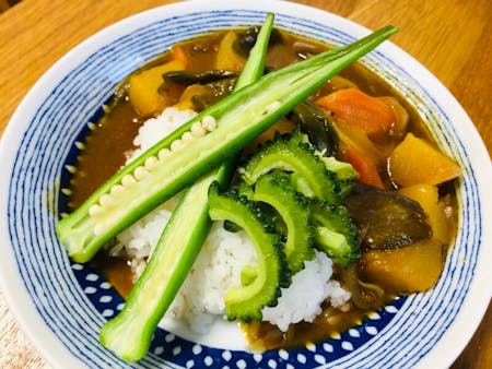 Japanese home cooking vegan curry rice