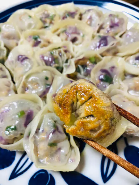 Vegan soy meat Gyoza