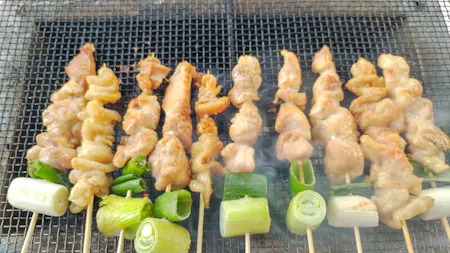 Easy and Fun Japanese food