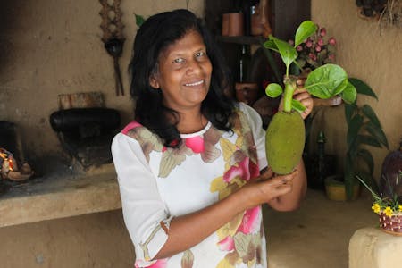 Hands-On Sri Lankan Village Cooking Class-