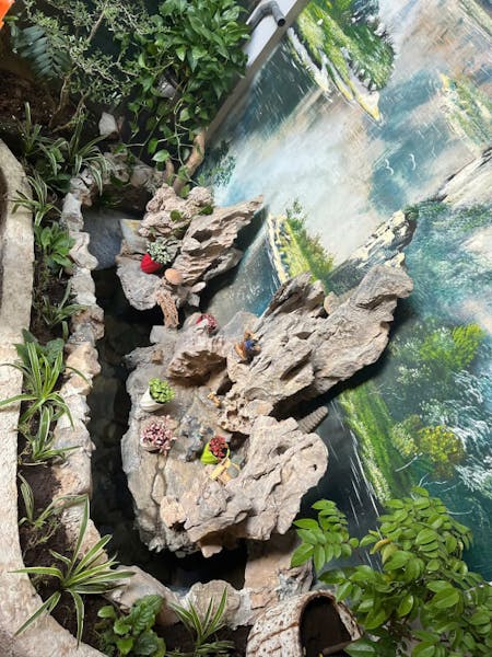 Kim’s Kitchen: Hands-On Hanoi Cooking Experience - Cook, Taste, Laugh