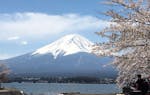 host-Ikuko