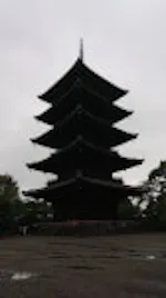 host-kimono kitchen