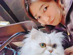Aika